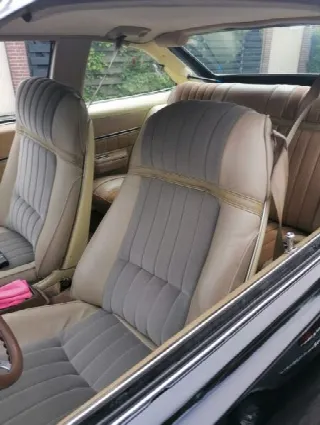 Foto 7 di 13: BUICK Skylark V8 