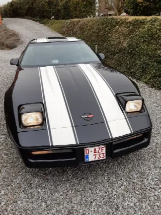 Foto 2 di 10: CHEVROLET Corvette C4 Targa 