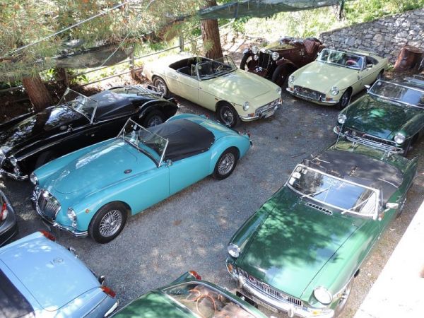 Immagine 5