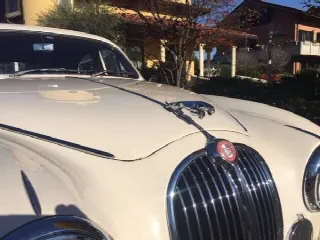 Foto 5 di 7: JAGUAR MkI 3400
