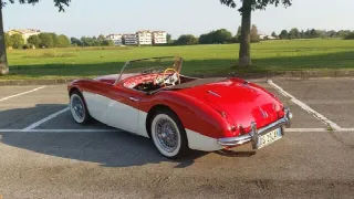 Foto 4 di 10: AUSTIN HEALEY MKI Cabrio 