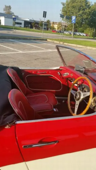 Foto 7 di 10: AUSTIN HEALEY MKI Cabrio 