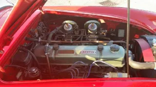 Foto 3 di 10: AUSTIN HEALEY MKI Cabrio 