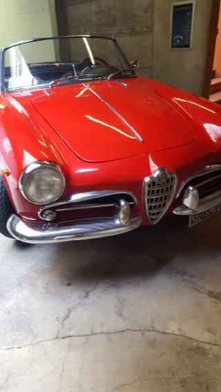 Foto 1 di 18: ALFA ROMEO 1300 Spider   