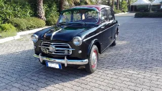 Foto 3 di 10: FIAT 1100 Turismo Veloce     
