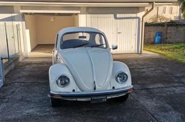 Volkswagen Maggiolino