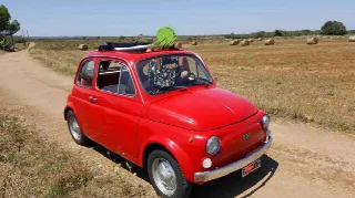 Foto 4 di 6: FIAT 500 R  
