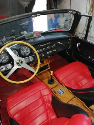 Foto 7 di 12: ALFA ROMEO SABRA SPORT SPIDER   
