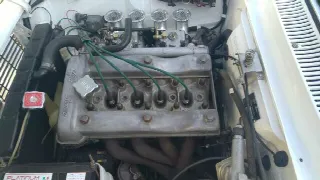 Foto 7 di 7: ALFA ROMEO Giulia GT Sprint 1.6 