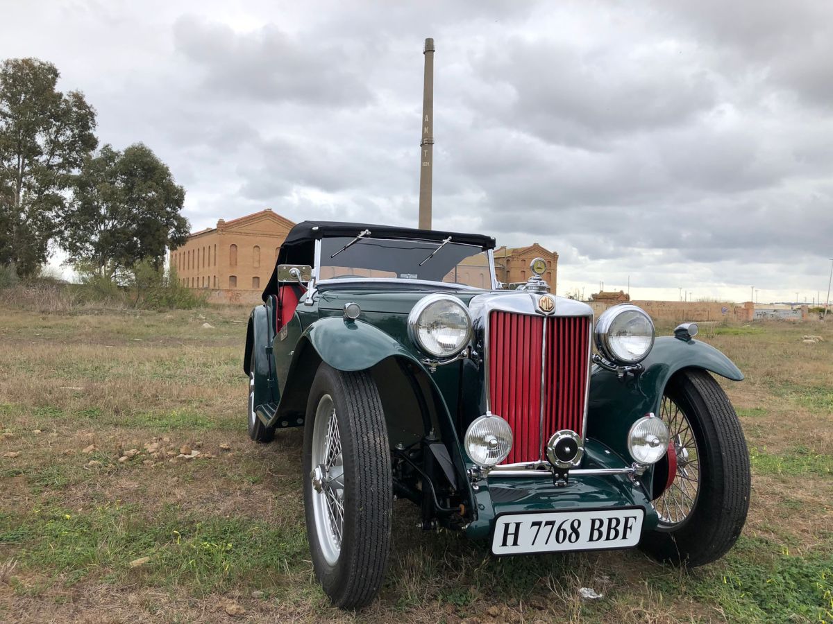MG TC Roadster 