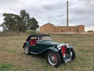 Foto 3 di 6: MG TC Roadster 