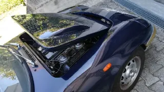 Foto 20 di 22: LOTUS Elan   