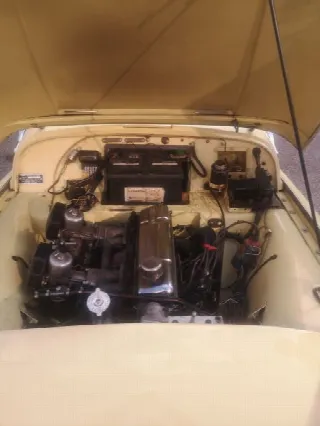 Foto 4 di 8: TRIUMPH TR3A    
