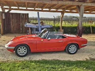 Foto 13 di 24: LOTUS Elan S2 