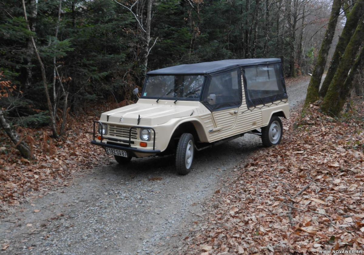 CITROEN Mehari 4x4 