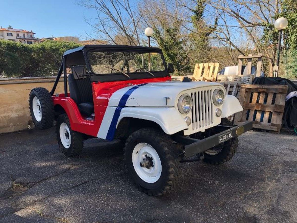 JEEP CJ 5 WILLYS   