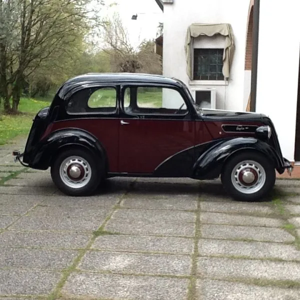 FORD Anglia E494