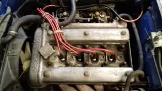 Foto 1 di 6: ALFA ROMEO GTJunior 1600 
