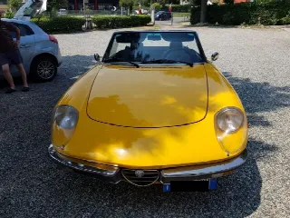 Foto 1 di 3: ALFA ROMEO Spider duetto  