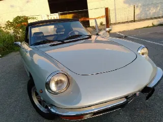 Foto 4 di 6: ALFA ROMEO Spider  