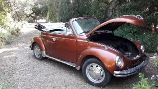 Foto 4 di 7: Volkswagen Maggiolino Karmann Ghia  
