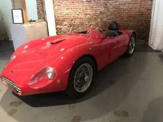 Foto 10 di 10:  Pasqualetti   sport 