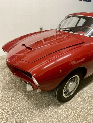 Foto 9 di 19: FIAT 1100 STANGUELLINI 1100/103 TV BERTONE  