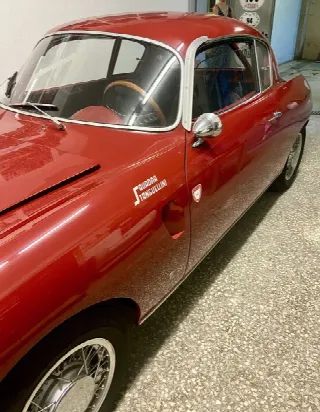 Foto 8 di 19: FIAT 1100 STANGUELLINI 1100/103 TV BERTONE  