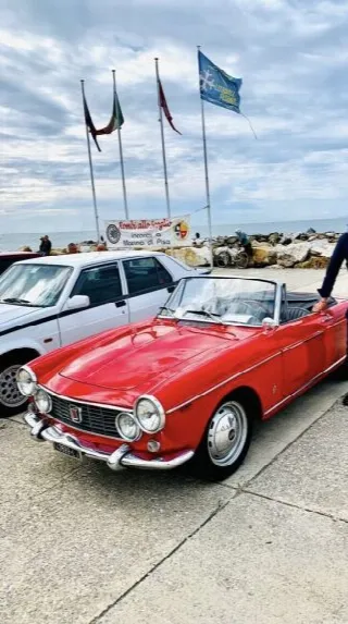 Foto 6 di 54: FIAT 1600S Osca   