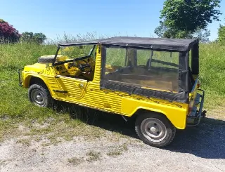 Foto 3 di 6: CITROEN Mehari 4x4 