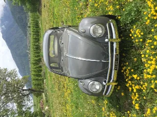 Foto 5 di 13: Volkswagen Maggiolino  1200 Export 
