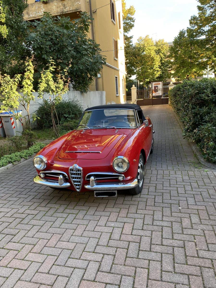 ALFA ROMEO 1600 spider - 10123  