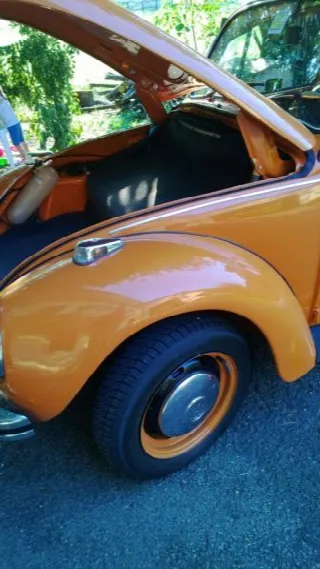 Foto 6 di 6: Volkswagen Kaefer Maggiolino