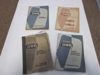 Foto 11 di 15: FIAT 1100 Industriale
