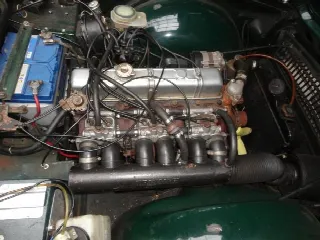 Foto 13 di 16: TRIUMPH TR6 PI perfect