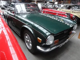 Foto 4 di 16: TRIUMPH TR6 PI perfect