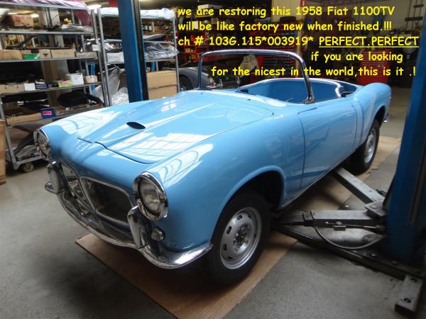 FIAT 1100 Fiat 1100 TV