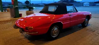 Foto 3 di 4: ALFA ROMEO Duetto Spyder osso di seppia