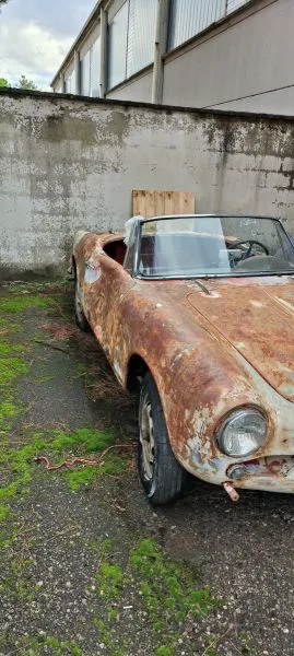 Foto 2 di 12: ALFA ROMEO Giulietta Spider    