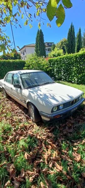 Foto 8 di 12: BMW 316 berlina 