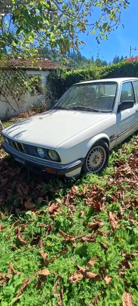 Foto 9 di 12: BMW 316 berlina 