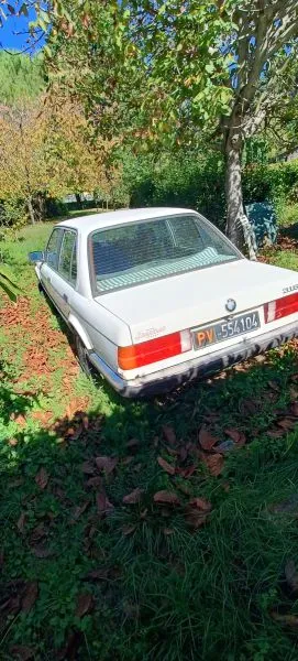 Foto 6 di 12: BMW 316 berlina 