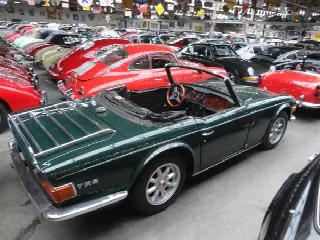 Foto 2 di 16: TRIUMPH TR6 PI perfect