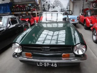 Foto 8 di 16: TRIUMPH TR6 PI perfect