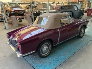Foto 5 di 18: FIAT 1100 TV spider 