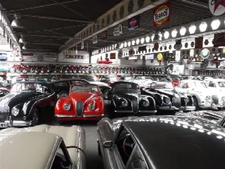 Foto 20 di 21: JAGUAR XK 120 Coupe