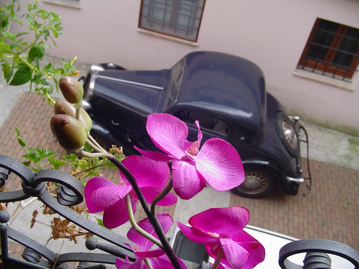 SIMCA-FIAT coupè