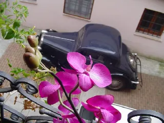 Foto 1 di 8: SIMCA-FIAT coupè
