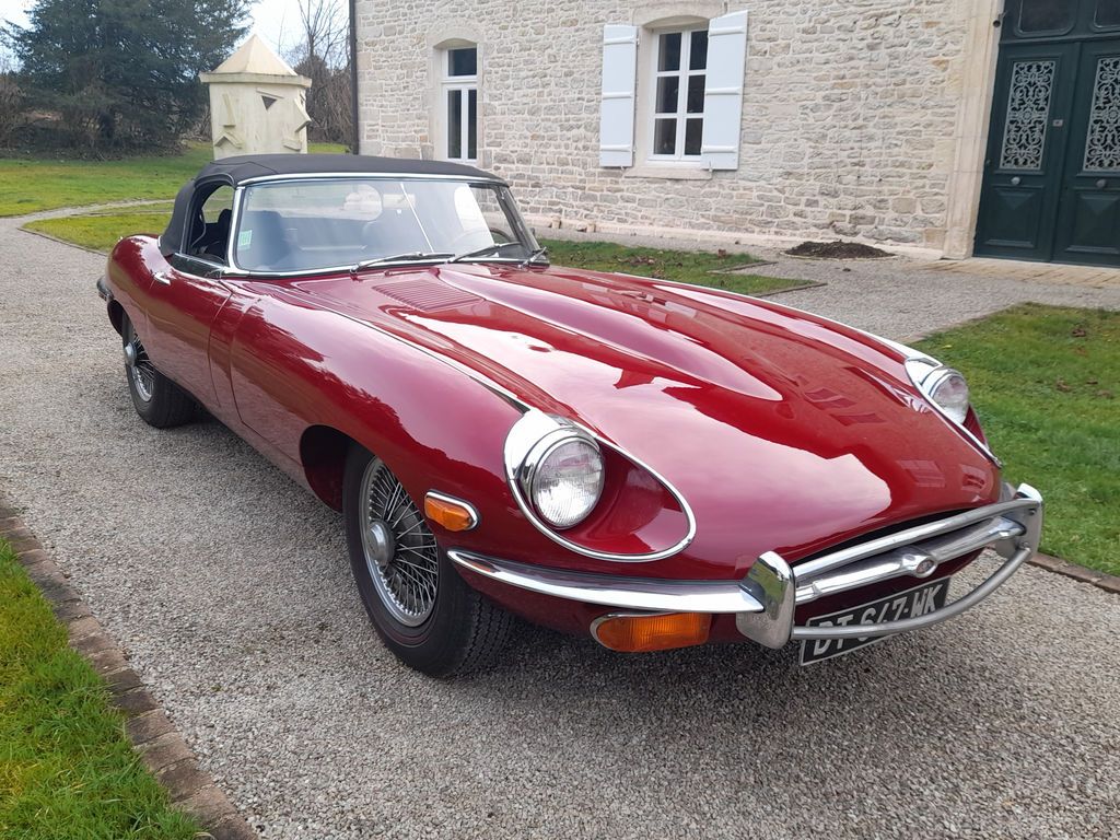 JAGUAR Other