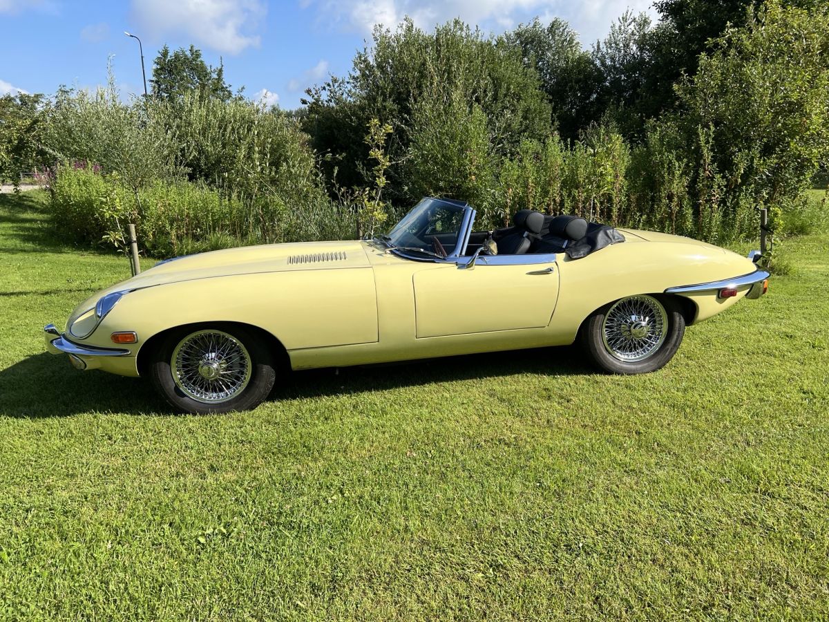JAGUAR Other